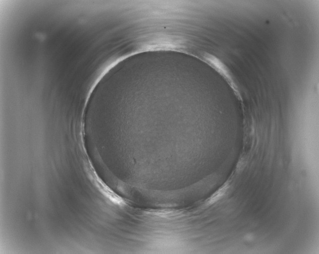 X0000066541340200603201416