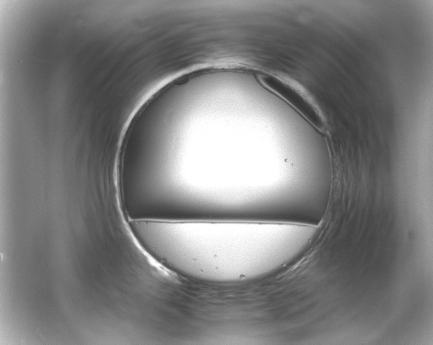 X0000066541343200603201416