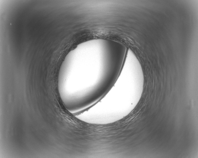 X0000066541345200603201415