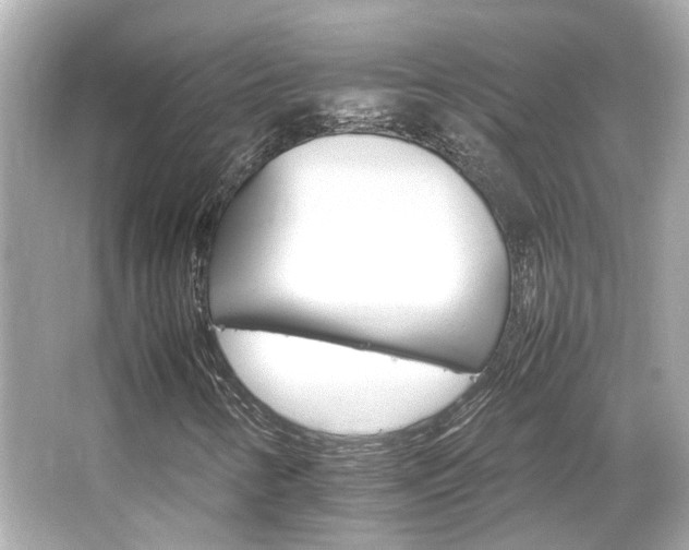 X0000066541346200603201415