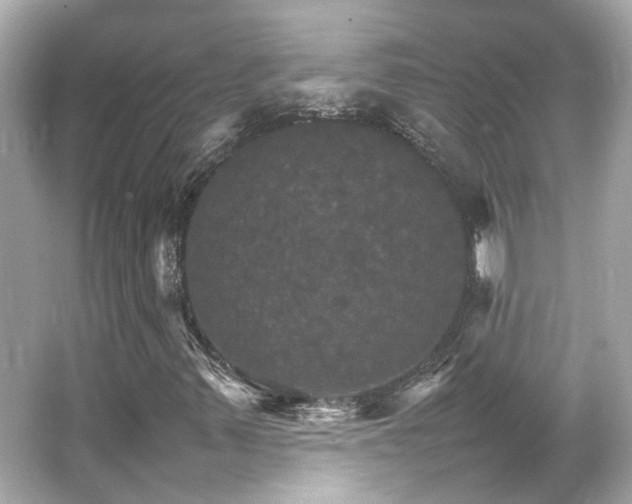 X0000066541347200603201415