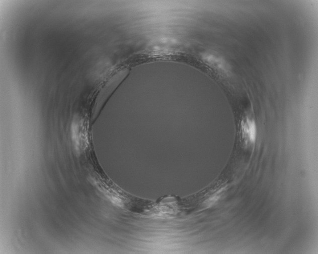 X0000066541348200603201415