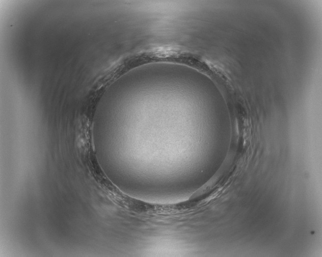 X0000066541349200603201415