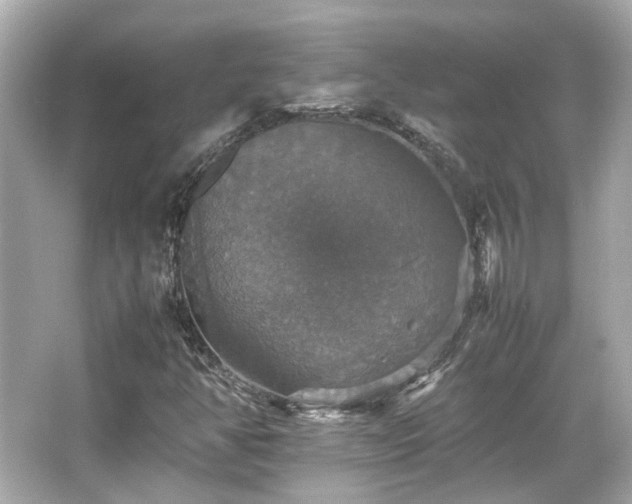 X0000066541350200603201415