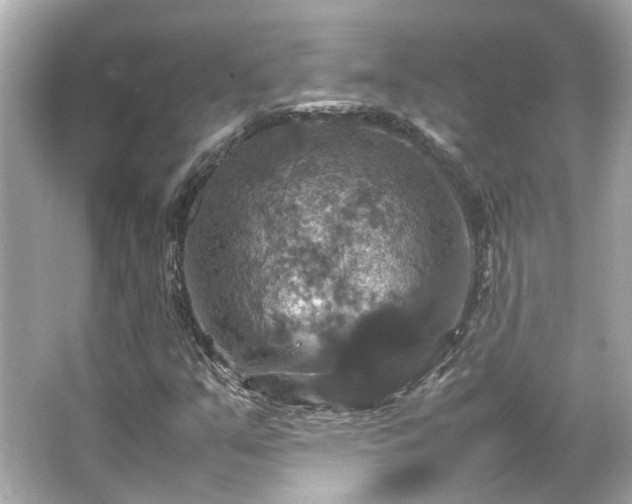 X0000066541351200603201415