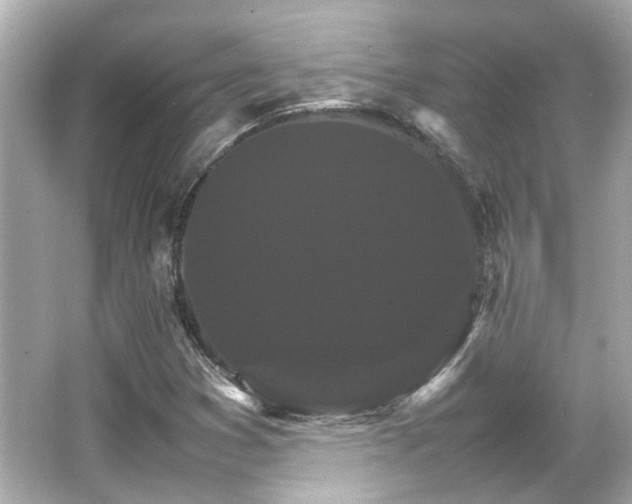 X0000066541353200603201415