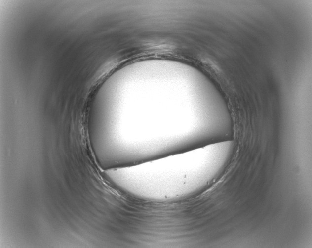 X0000066541354200603201415