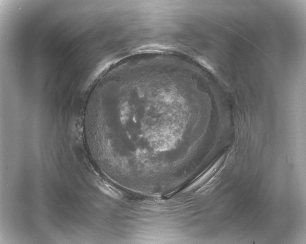 X0000066541355200603201415