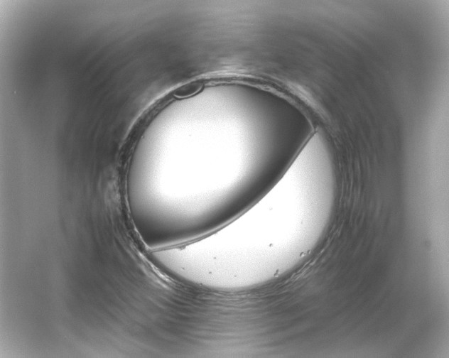 X0000066541356200603201415