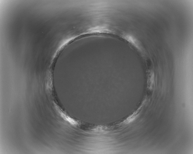 X0000066541358200603201415