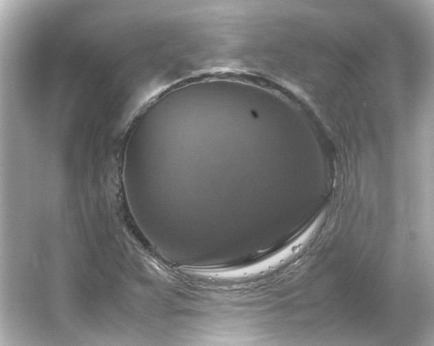 X0000066541359200603201415