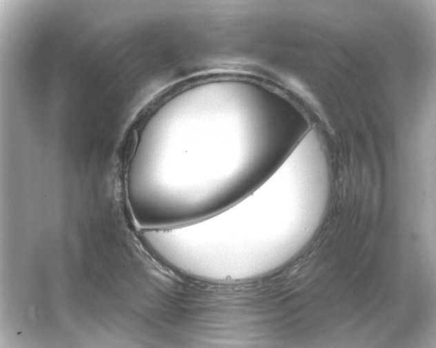 X0000066541360200603201415