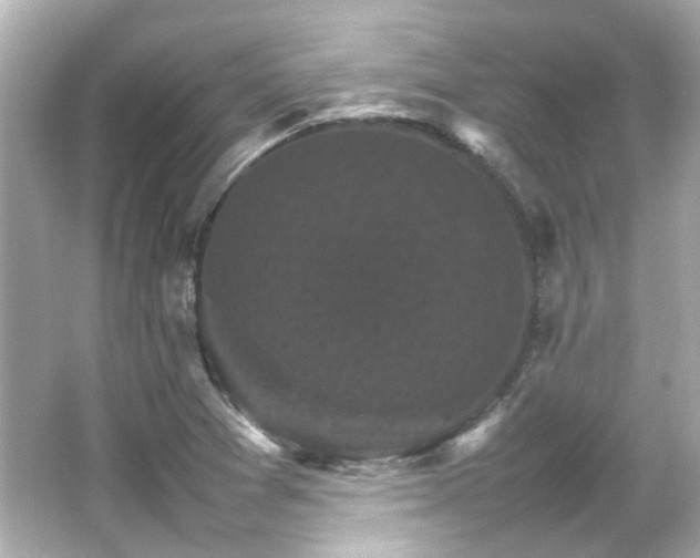 X0000066541361200603201415