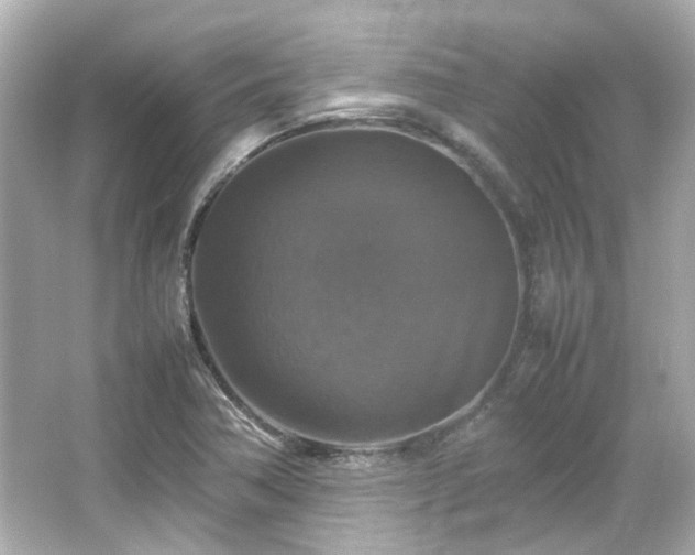 X0000066541362200603201415