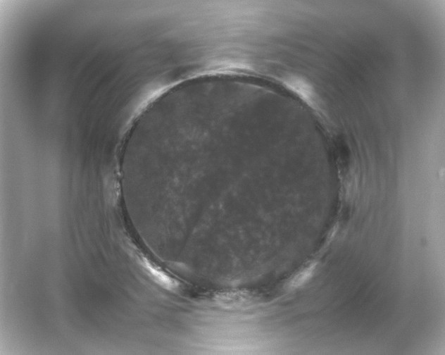 X0000066541363200603201415