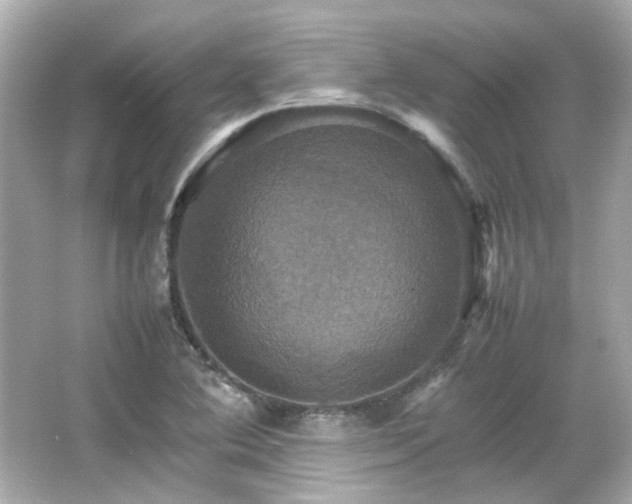 X0000066541364200603201415