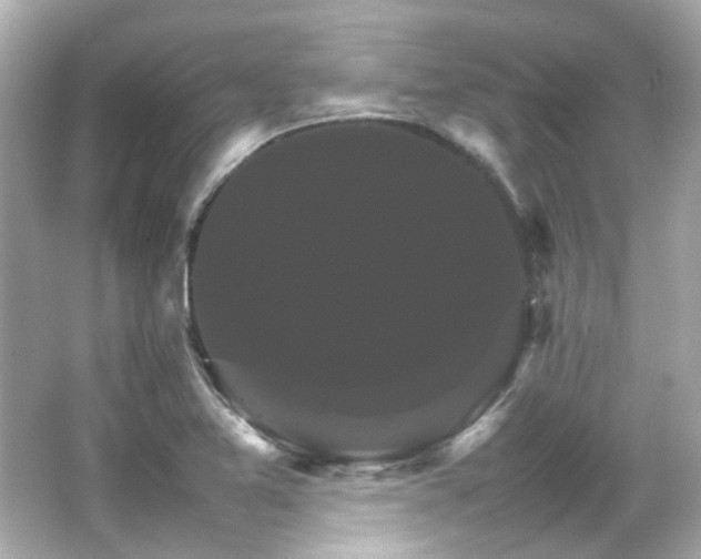 X0000066541365200603201415