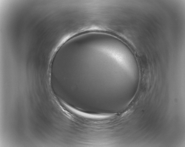 X0000066541367200603201415