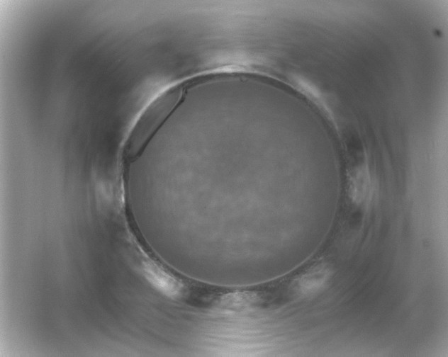 X0000066541368200603201415