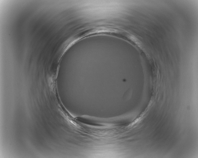 X0000066541369200603201415