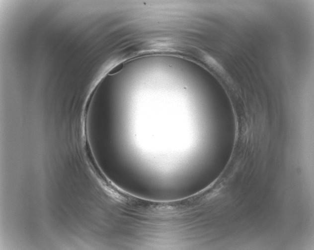 X0000066541370200603201415