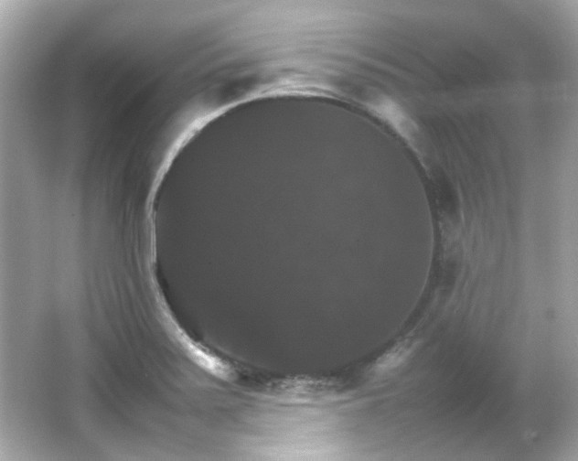 X0000066541371200603201415