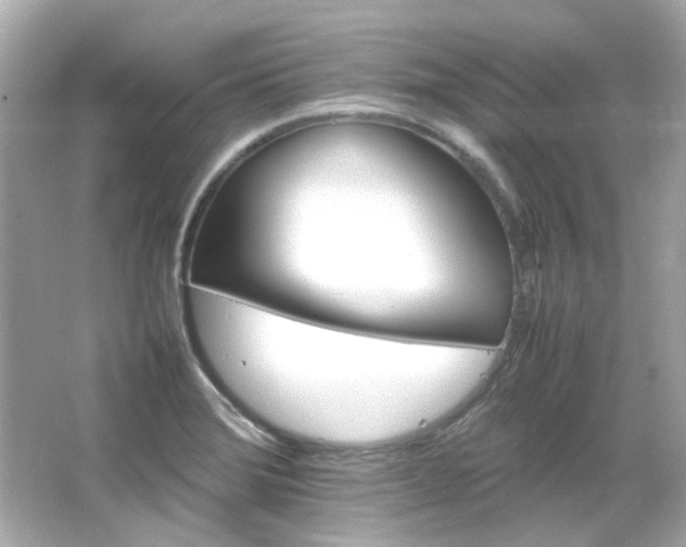 X0000066541372200603201414