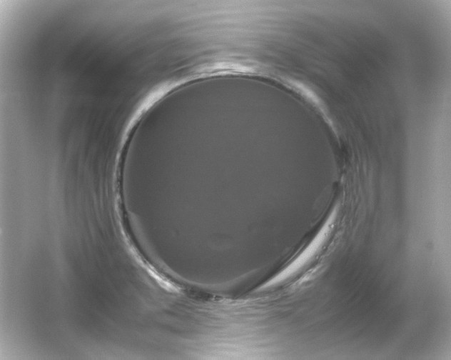 X0000066541373200603201414