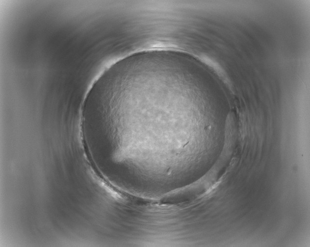 X0000066541374200603201414