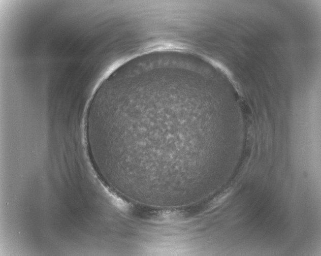 X0000066541375200603201414