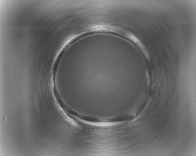 X0000066541376200603201414