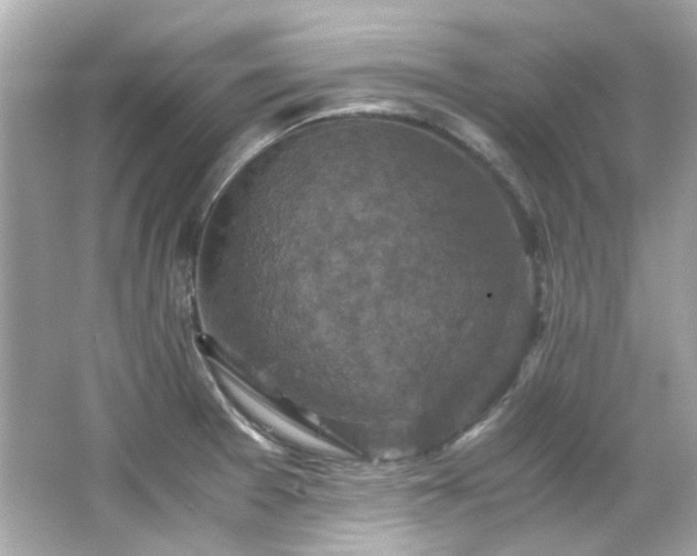 X0000066541377200603201414