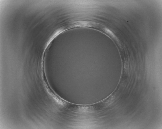 X0000066541378200603201414