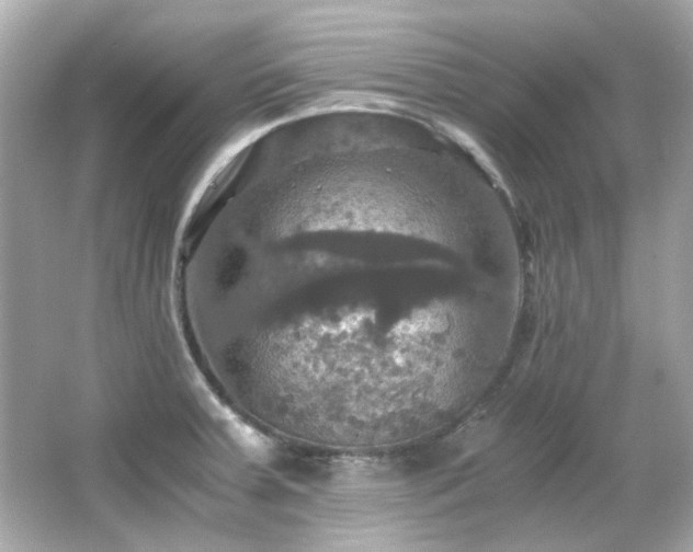 X0000066541379200603201414