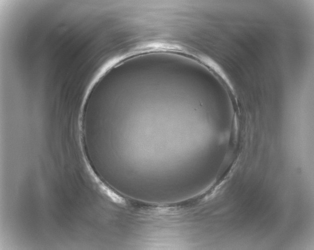 X0000066541381200603201414