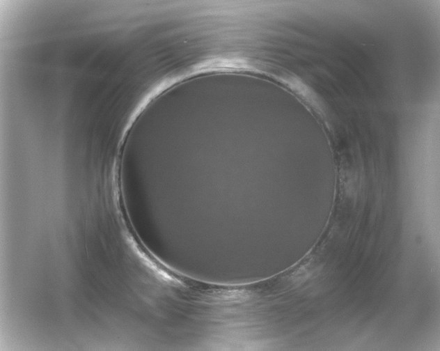 X0000066541382200603201414