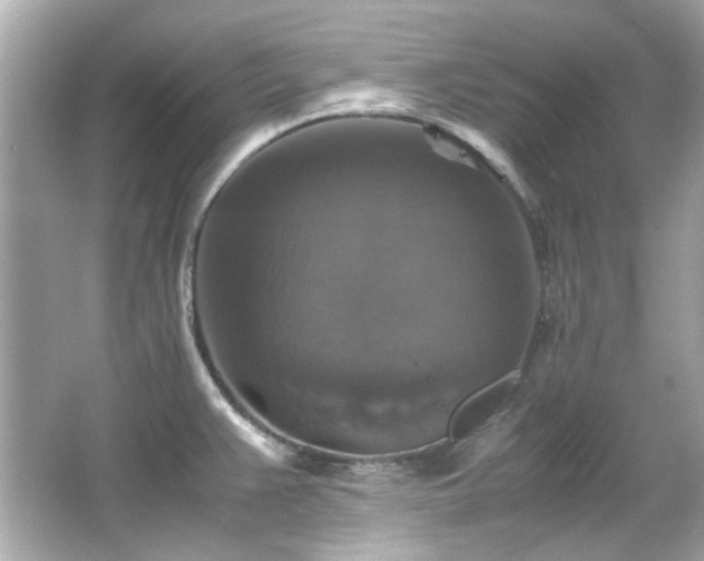 X0000066541383200603201414