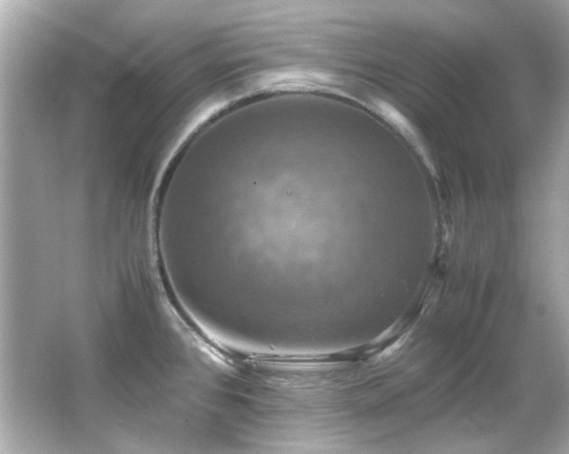 X0000066541384200603201414