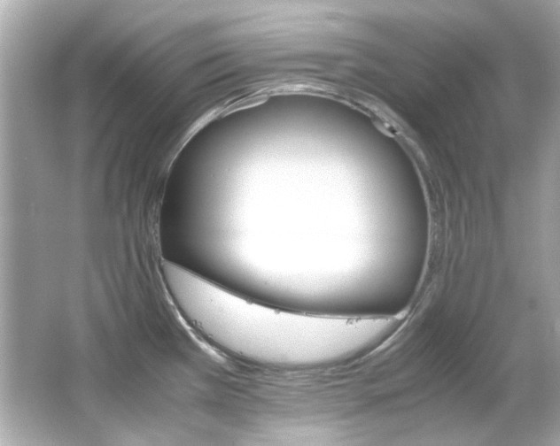 X0000066541385200603201414