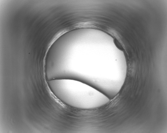 X0000066541386200603201414