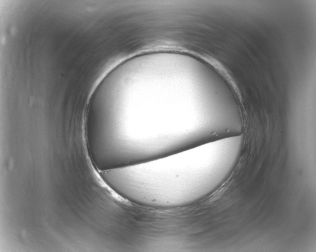 X0000066541390200603201414