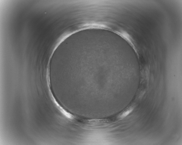 X0000066541391200603201414