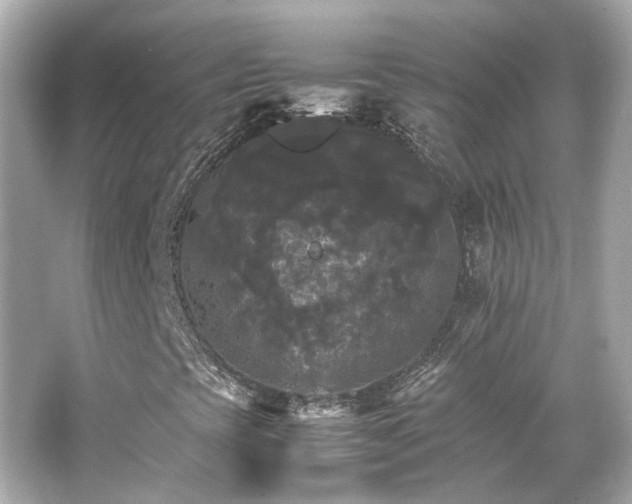 X0000066541393200603201413