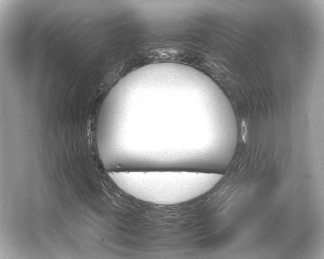 X0000066541395200603201413