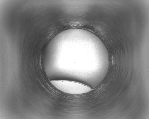 X0000066541396200603201413