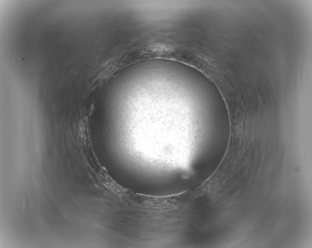 X0000066541397200603201413