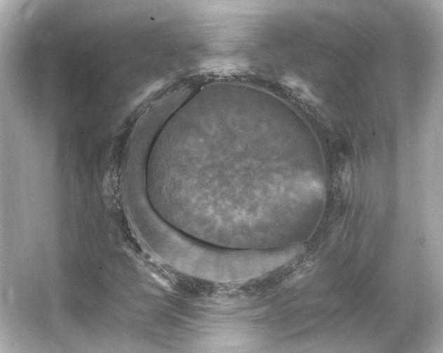 X0000066541398200603201413