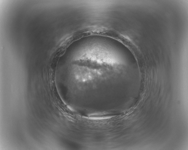 X0000066541399200603201413