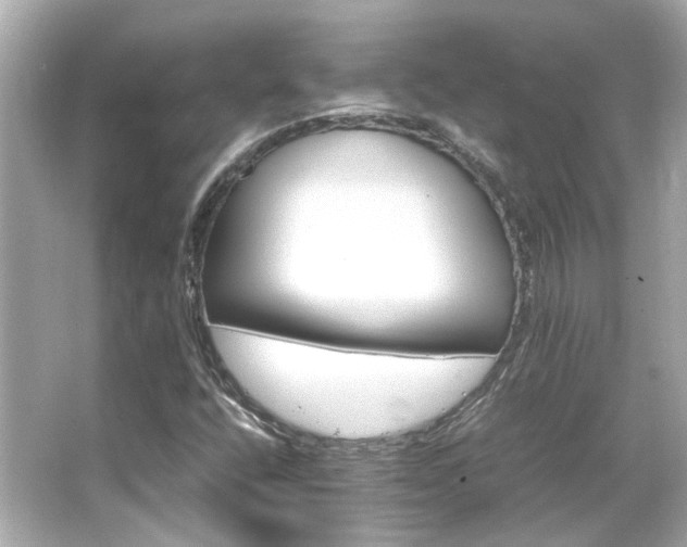 X0000066541400200603201413