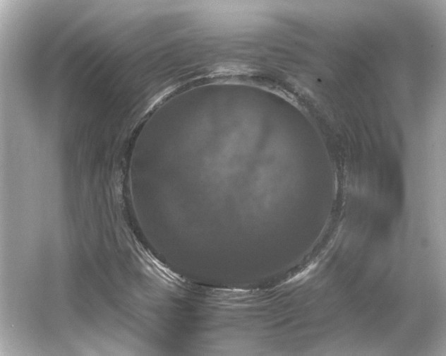 X0000066541401200603201413